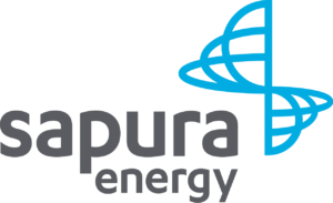 Sapura logo